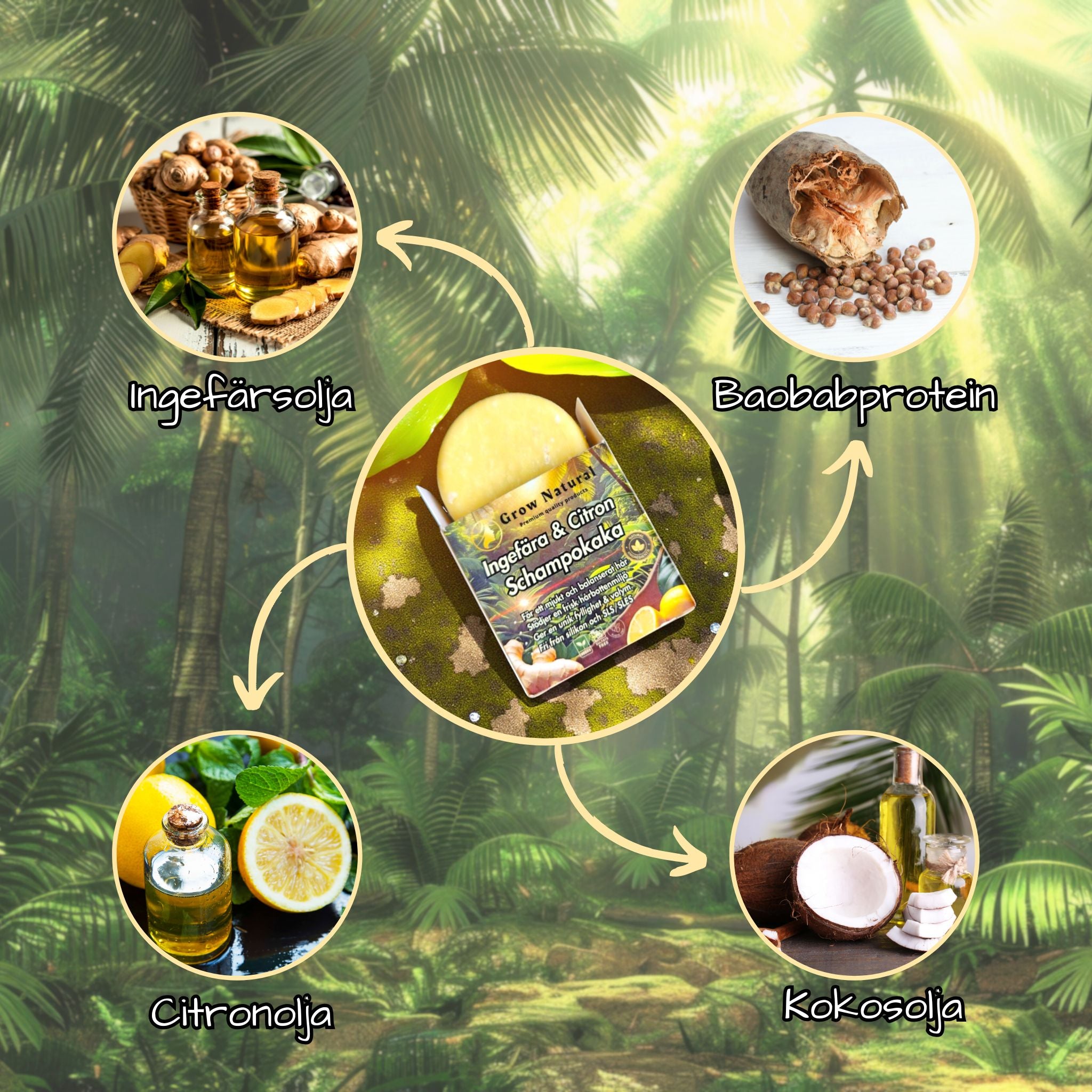 Grow Natural™ – Ingefära & Citron schampokaka omgiven av naturliga ingredienser som ingefära, citron, risprotein och örter