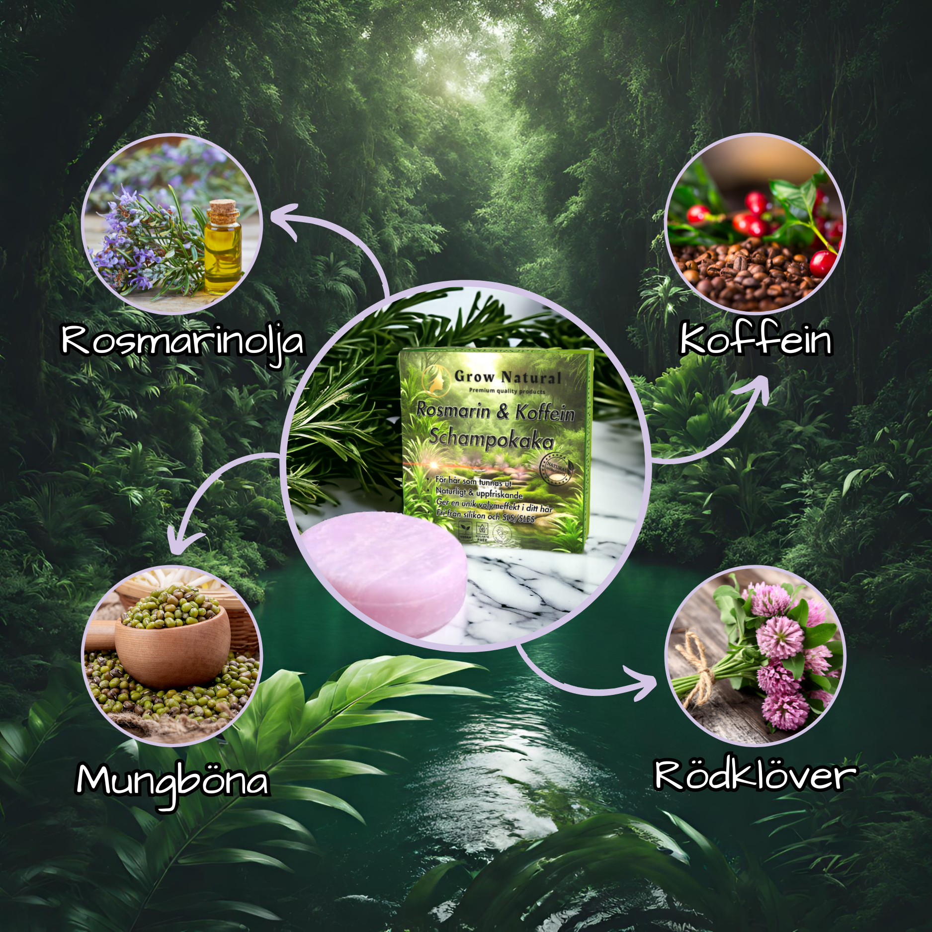 Rosmarin & Koffein schampo omgivet av naturliga ingredienser för hårväxt och volym