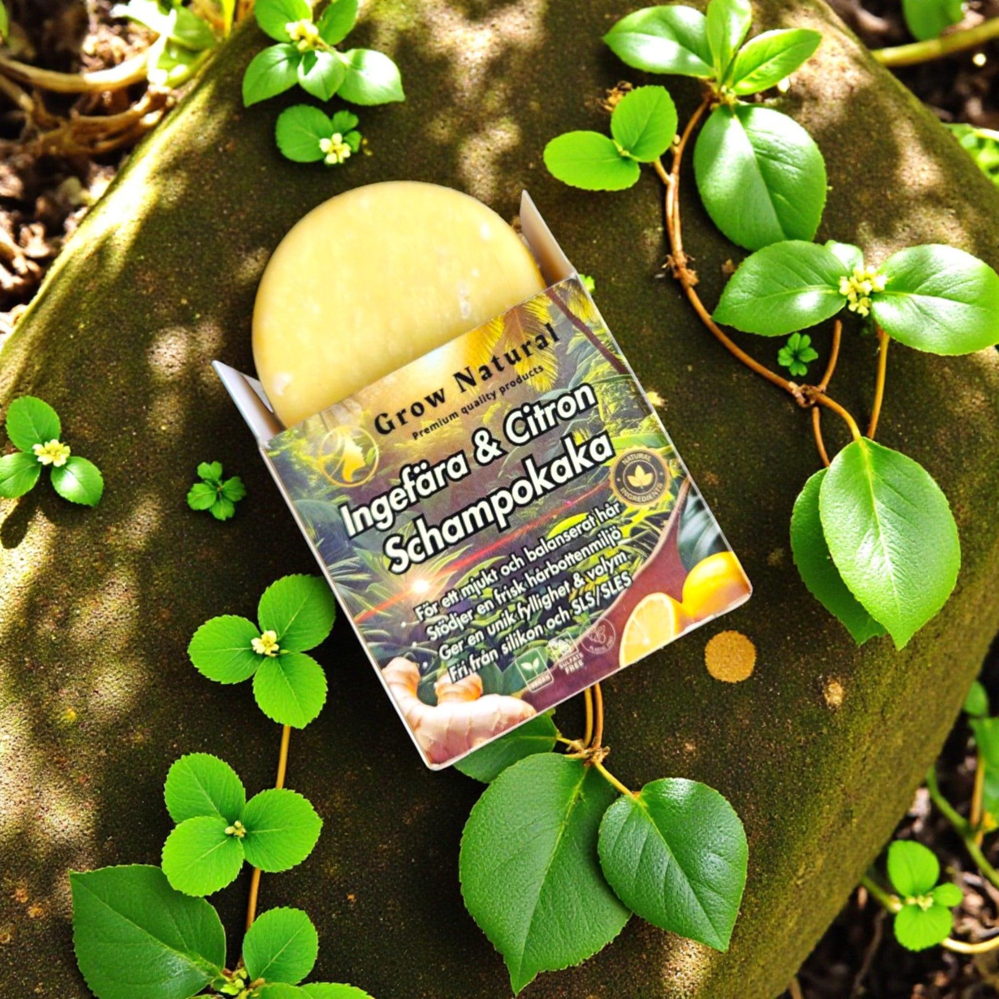 Grow Natural™ – Ingefära & Citron schampo hängande bland gröna blad